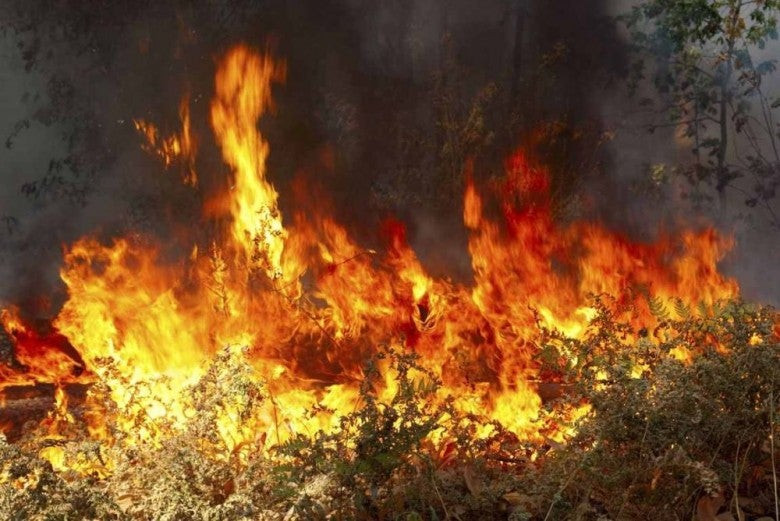 43 πυρκαγιές, παρά τις βροχές, το τελευταίο 24ωρο -Ακόμα καίει στη Ζάκυνθο